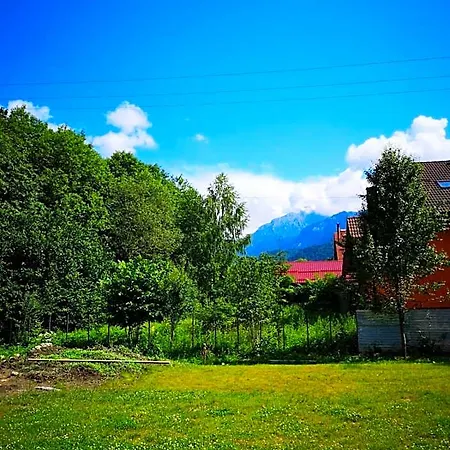 Cedar Crest Отель Брашов